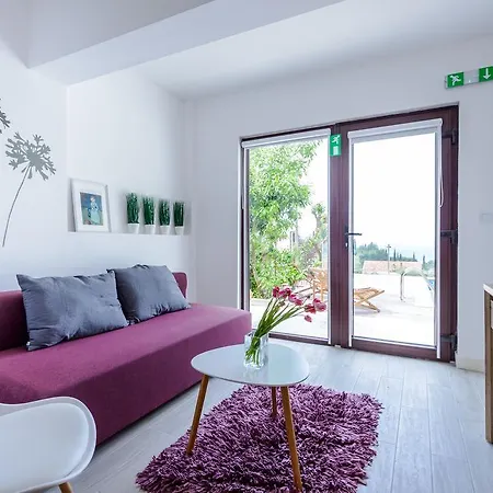 Tandem With Swimming Pool Апартаменты Цавтат